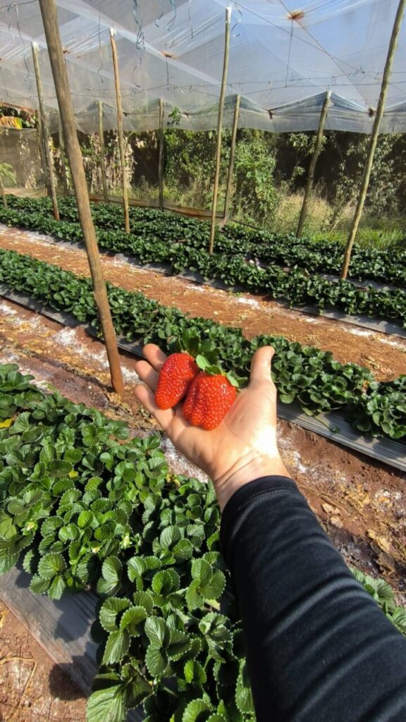 WhatsApp Image 2025-08-05 at 14.48.45 (1)