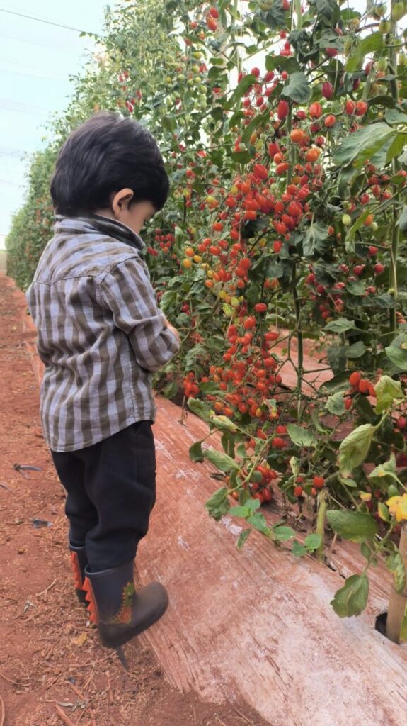 WhatsApp Image 2025-08-05 at 14.48.48 (1)