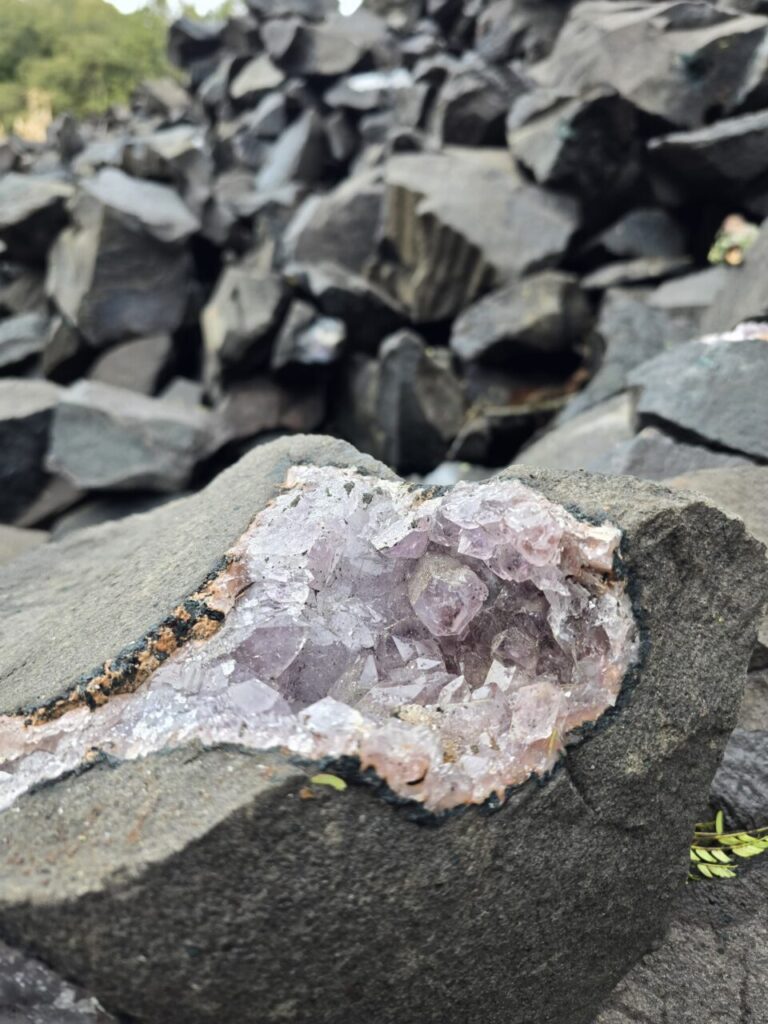 WhatsApp Image 2025-08-07 at 20.54.31 (1)