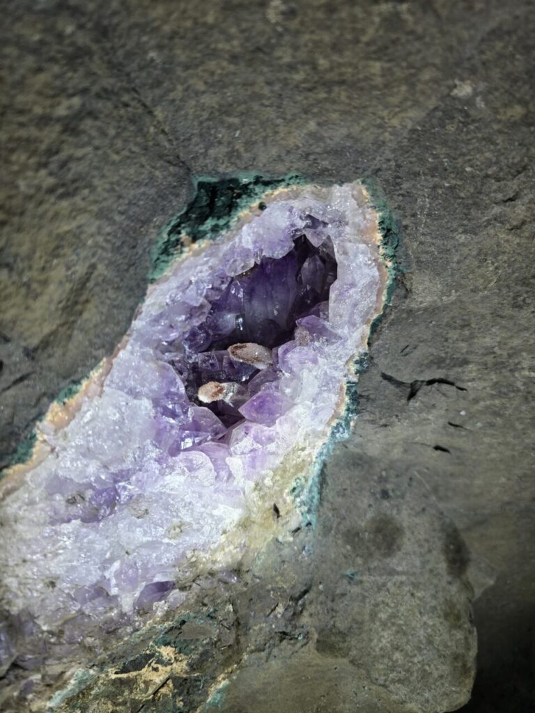 WhatsApp Image 2025-08-07 at 20.54.31