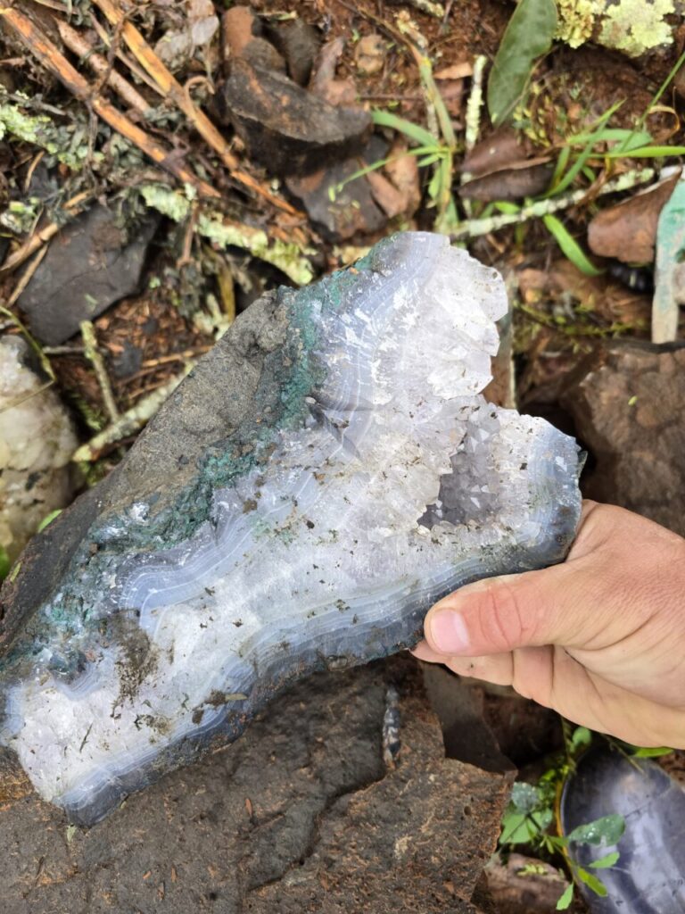 WhatsApp Image 2025-08-07 at 20.54.32