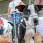 a1853ffd-af6d-4506-9e15-7f193135728f-1130×580