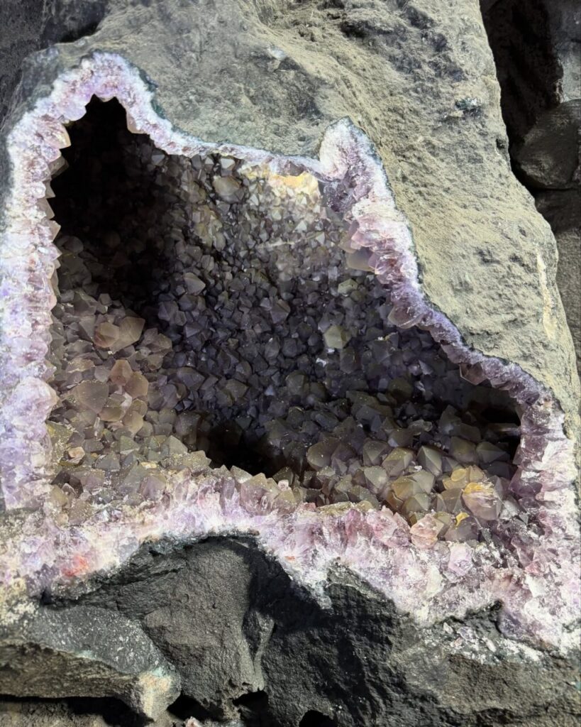 chopinzinhof2j_1750720059_3661627709765135889_74831551834