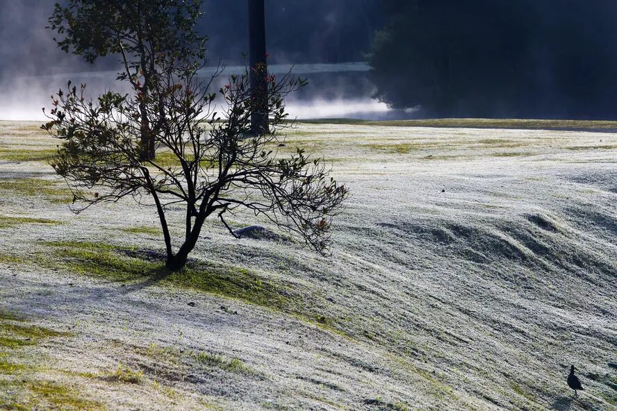 Instituto Nacional de Meteorologia (Inmet) disparou um alerta amarelo (perigo potencial) de frio para 161 cidades paranaenses.