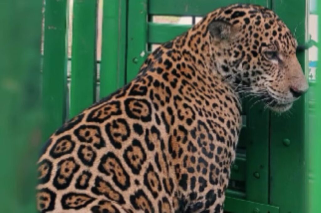 544445c1-1742-4b3d-93aa-5e8def418675