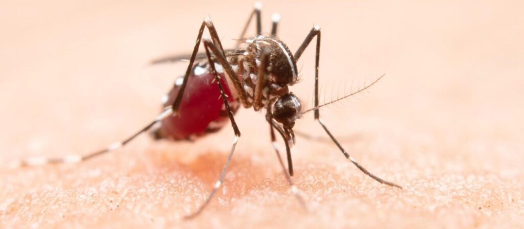 86ef8aca294eb23dce41a9bcf303cf3d (1)