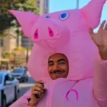 Porquinho-da-Paulista