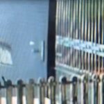 WhatsApp Image 2025-09-08 at 16.02.06 (1)