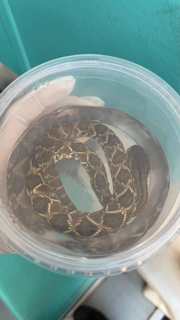 WhatsApp Image 2025-09-17 at 11.25.29