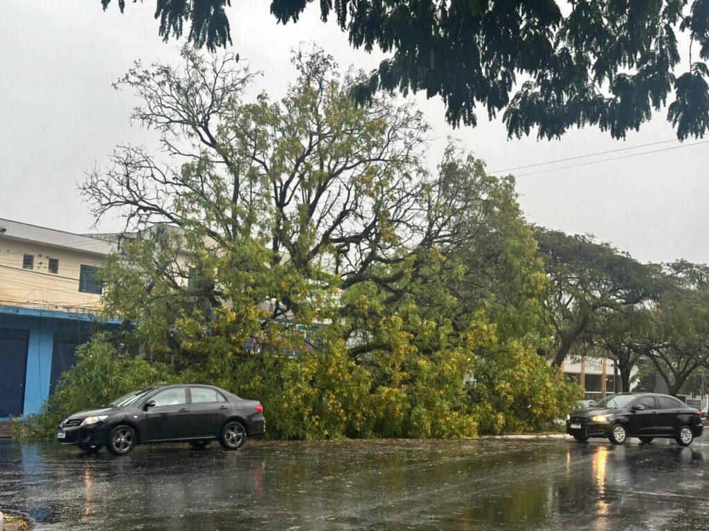 WhatsApp Image 2025-09-22 at 08.16.03