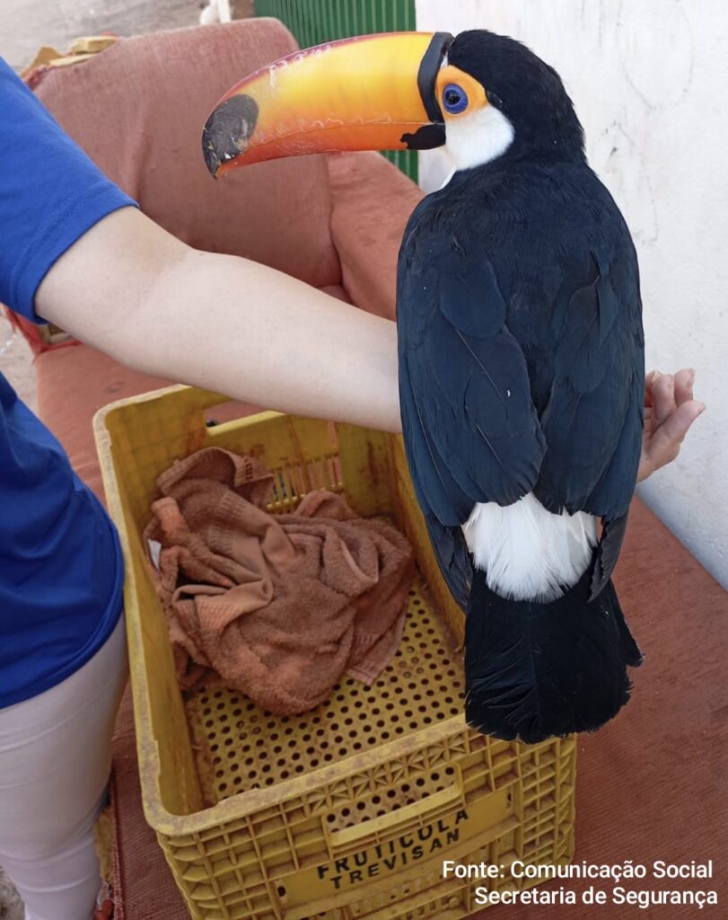 WhatsApp Image 2025-09-22 at 15.10.48