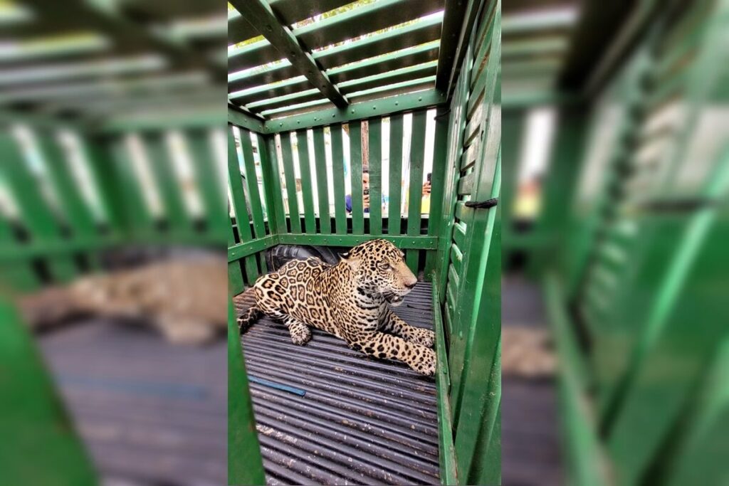 bdd28dd3-67ab-4f6f-a9e6-a408d55d3917