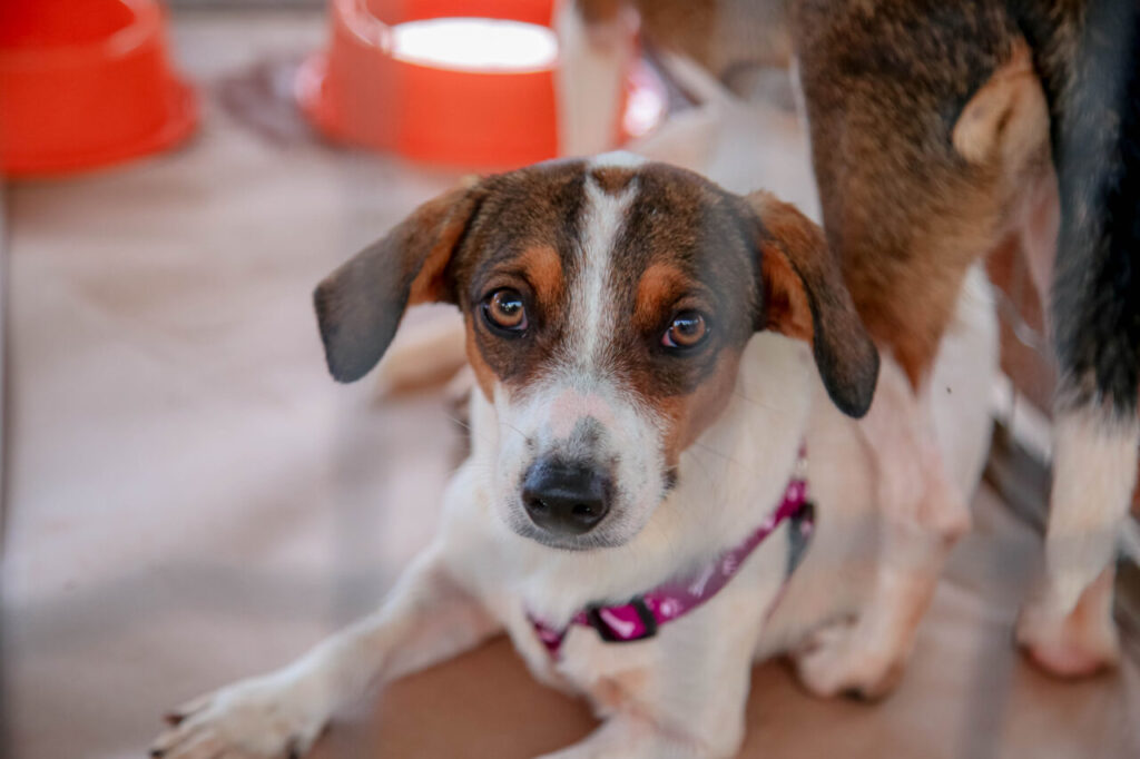 458b26c7-6b53-49e1-9c8b-04faf2c45a18 (1)