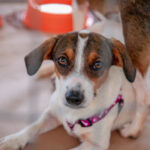 458b26c7-6b53-49e1-9c8b-04faf2c45a18 (1)