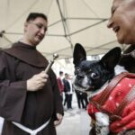 Imagem do WhatsApp de 2025-10-01 à(s) 16.44.15_301ee34e