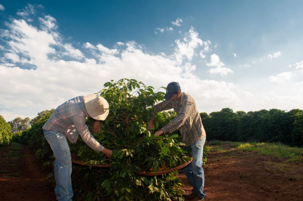 WhatsApp Image 2025-10-07 at 14.10.32