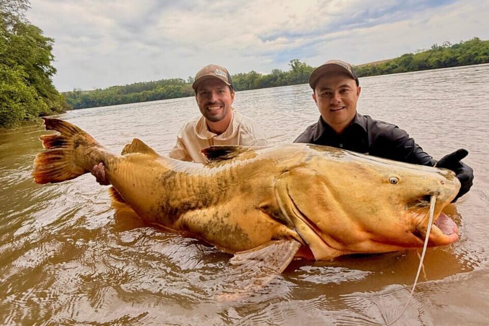 WhatsApp Image 2025-10-28 at 08.55.48 (1)