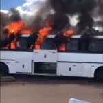 WhatsApp Image 2025-10-31 at 08.58.49