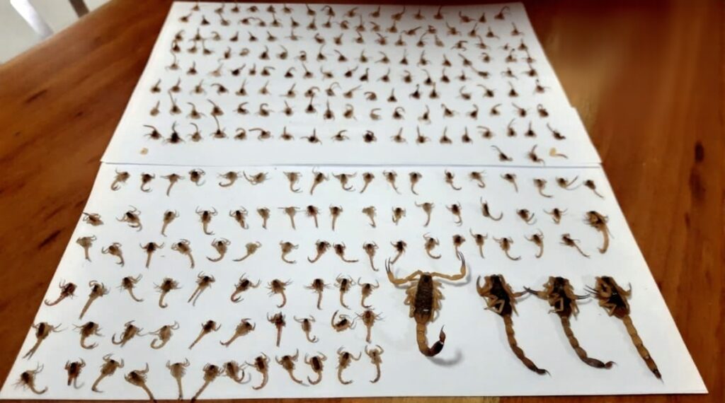 1eaffbe9-d86a-4bcf-8654-e9c988782519