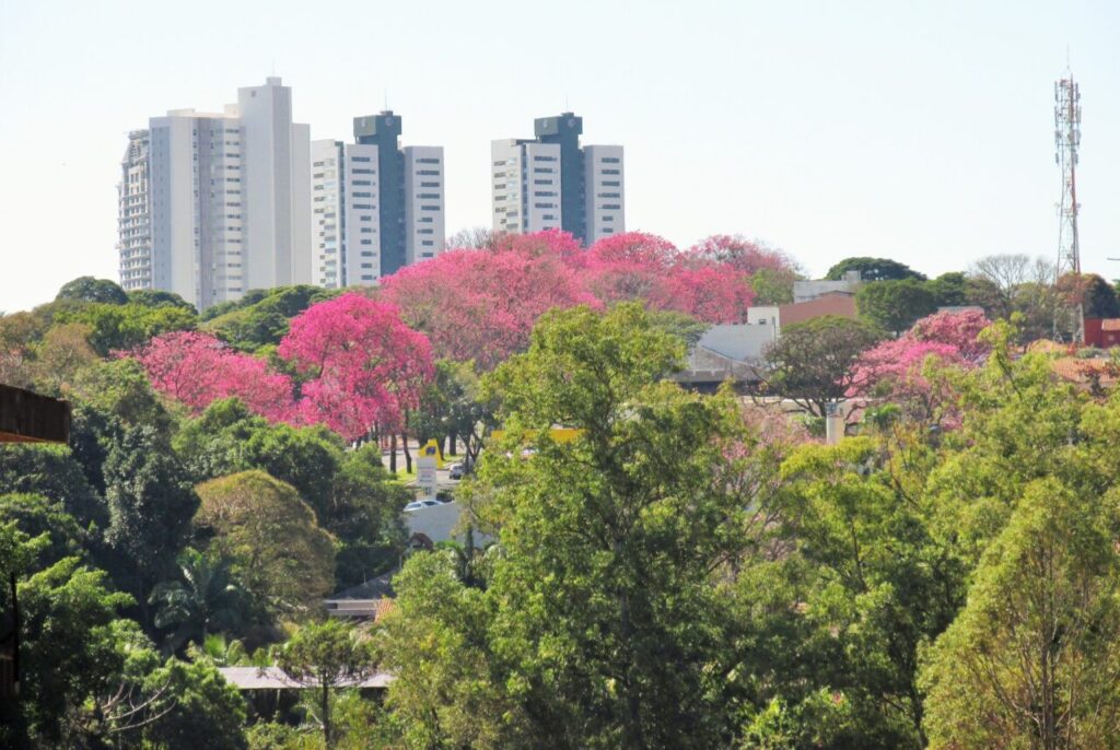 528325382_1086546750247395_5807324403687916078_n