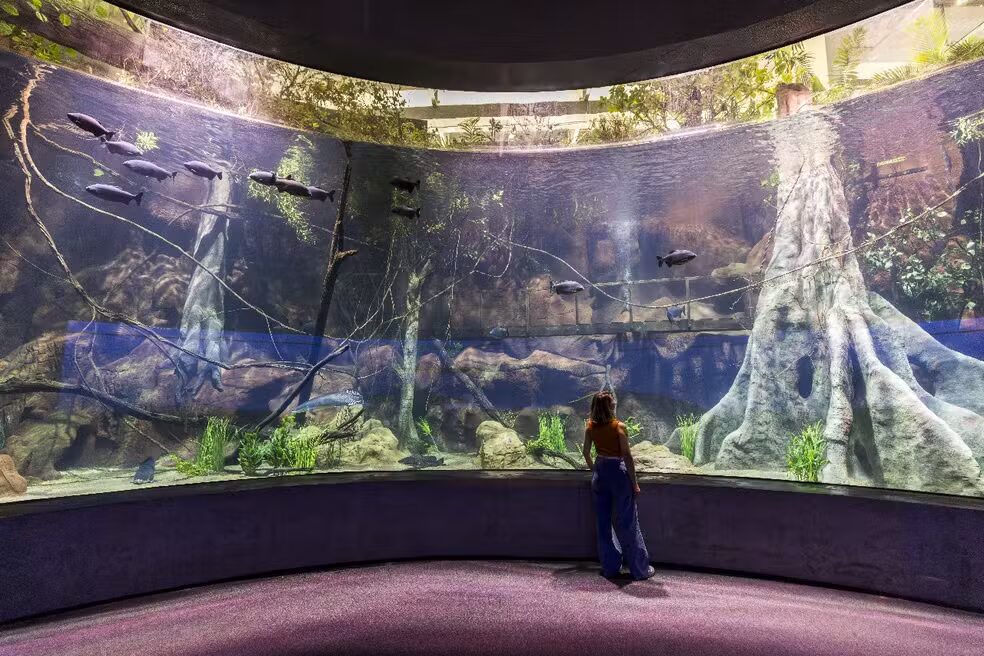 86cf9345-dedd-4c7e-9788-e090399407b4