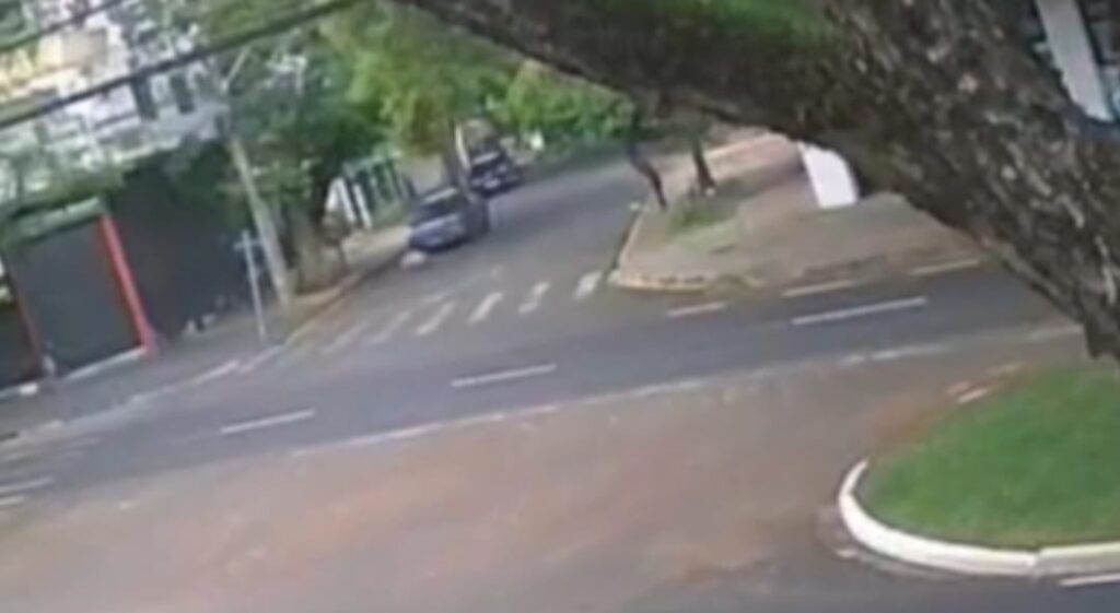 WhatsApp Image 2025-11-12 at 09.33.38