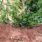 WhatsApp Image 2025-11-13 at 15.00.45