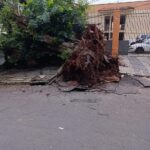 WhatsApp Image 2025-11-18 at 14.21.14 (1)