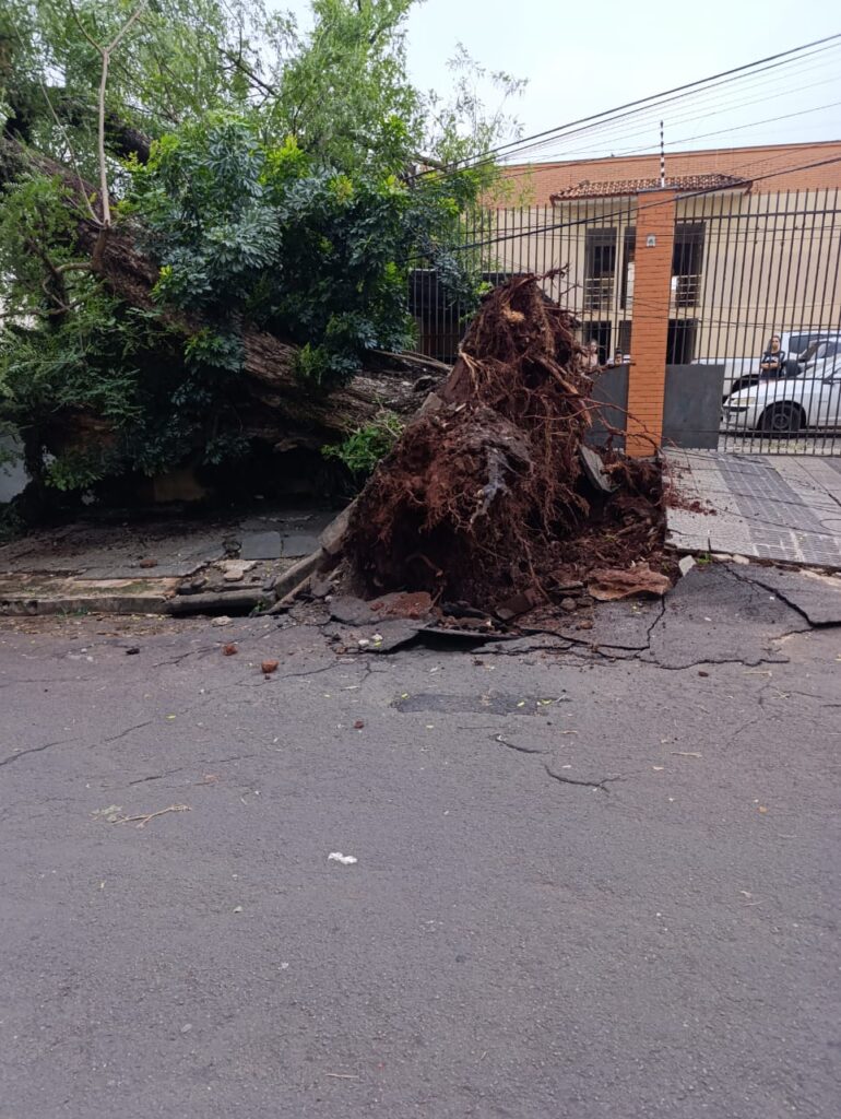 WhatsApp Image 2025-11-18 at 14.21.14 (1)