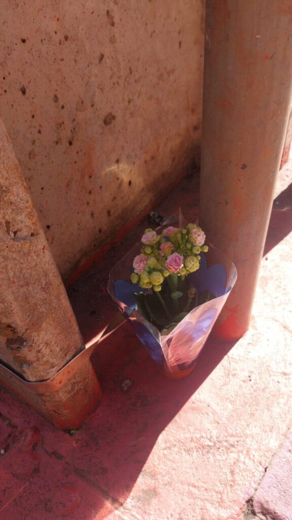 WhatsApp Image 2025-11-21 at 18.32.47