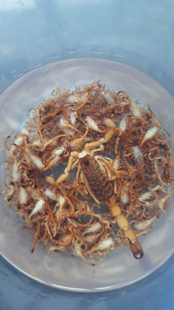 WhatsApp Image 2025-11-27 at 09.42.34 (2)