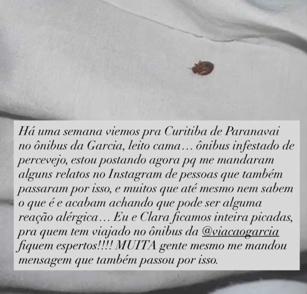 percevejos 11
