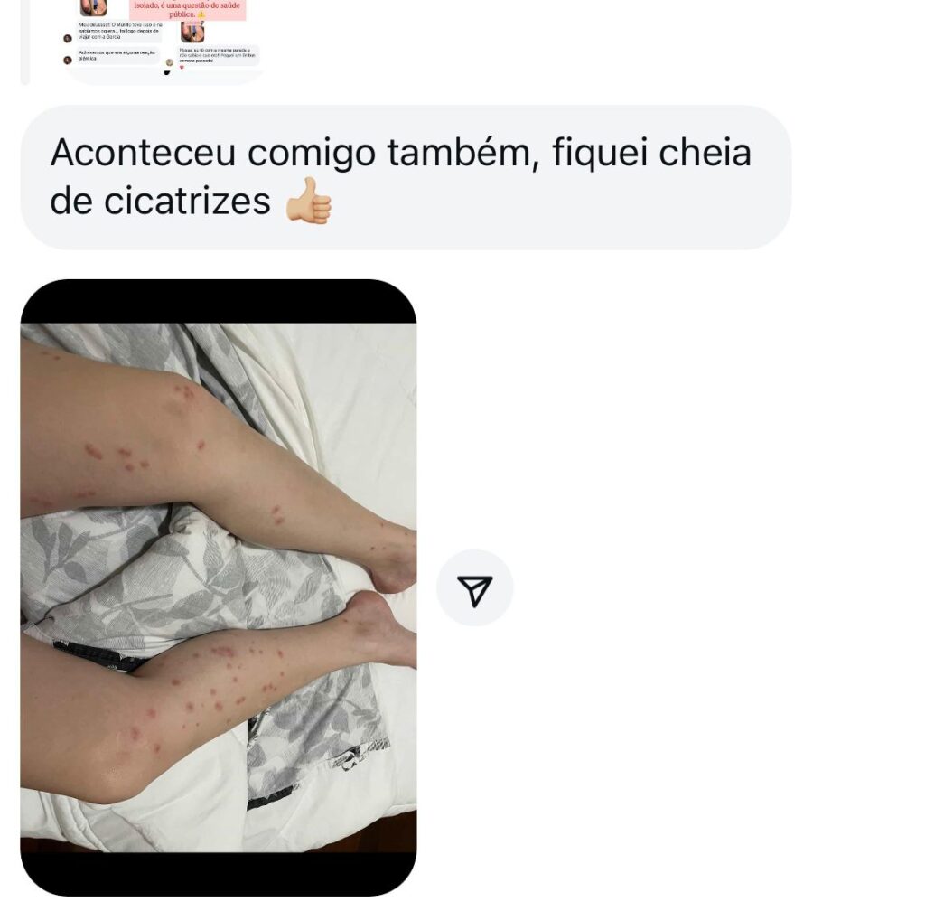 percevejos 7