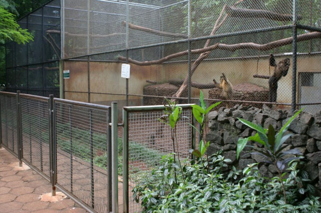 070111b2c1f9441cb621c31bba12533a