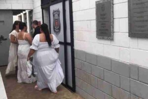 1765599858693cea72bd788