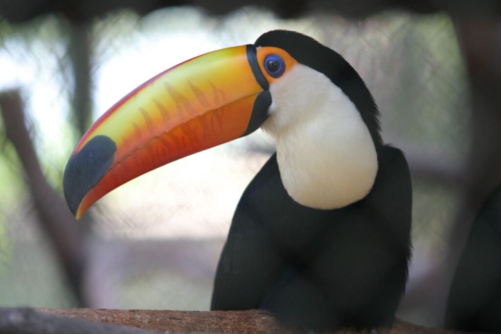 21b6a893be6897e1e21ee1c5a152f0b0