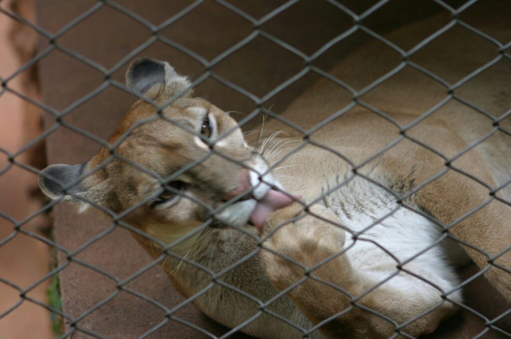 709a1ef1b1b40248ba0c1bbc793d17fe-1