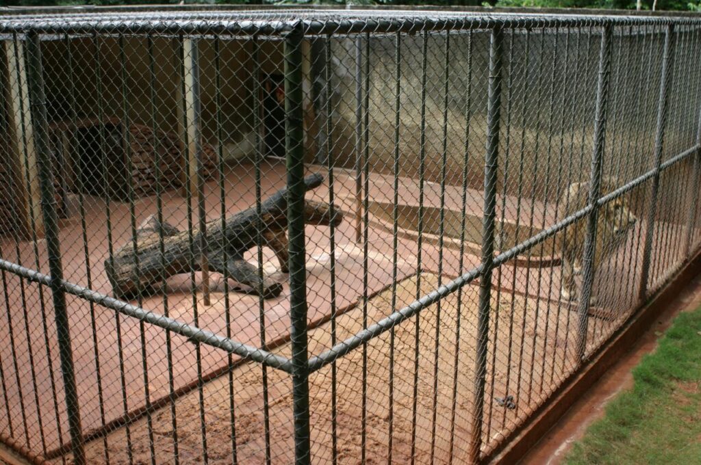 854b65930cec30204e8de792d32496fe