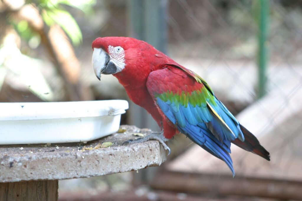 8a6ffa32e9f36ba313eccffc6a598ce6