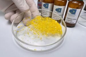 WhatsApp Image 2025-12-05 at 08.41.32