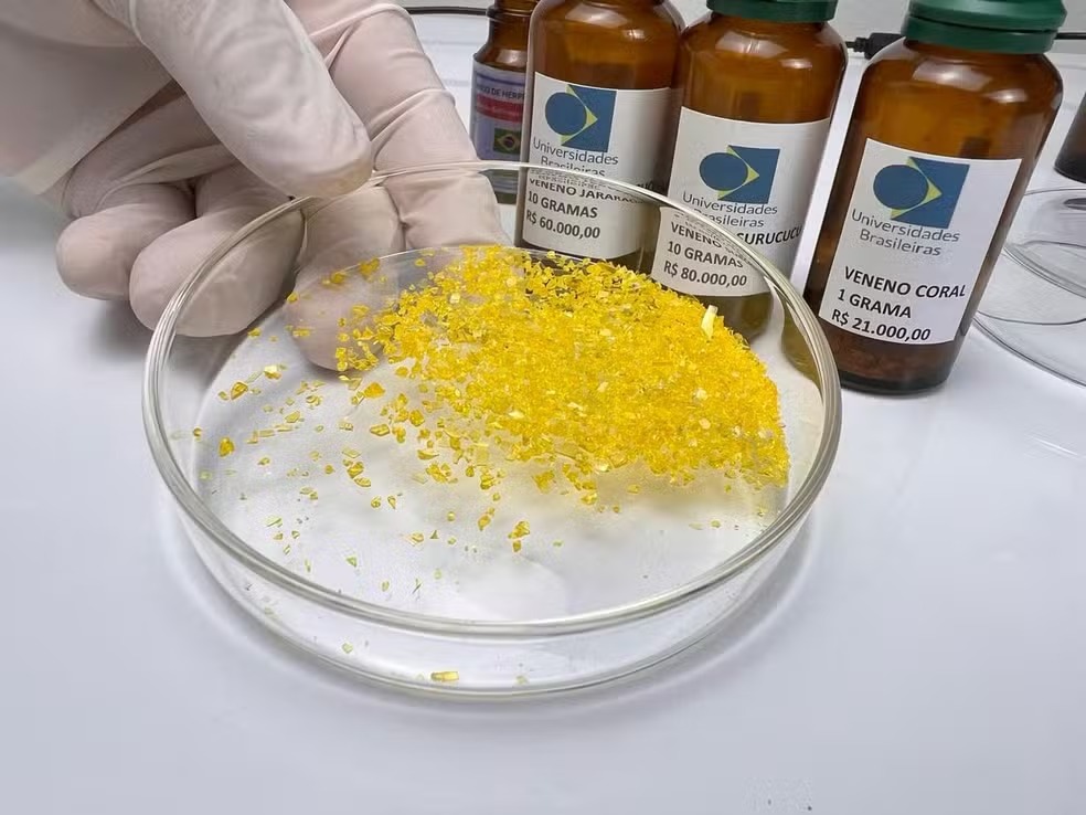 WhatsApp Image 2025-12-05 at 08.41.32