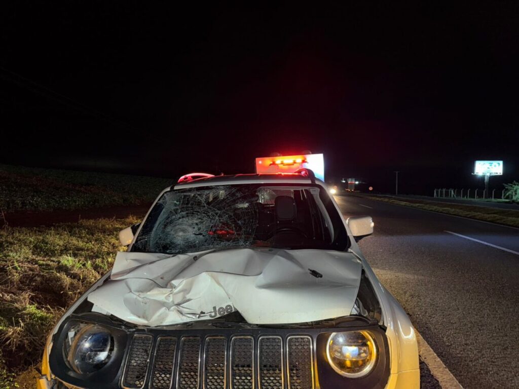 WhatsApp Image 2025-12-10 at 08.30.59