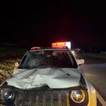 WhatsApp Image 2025-12-10 at 08.30.59