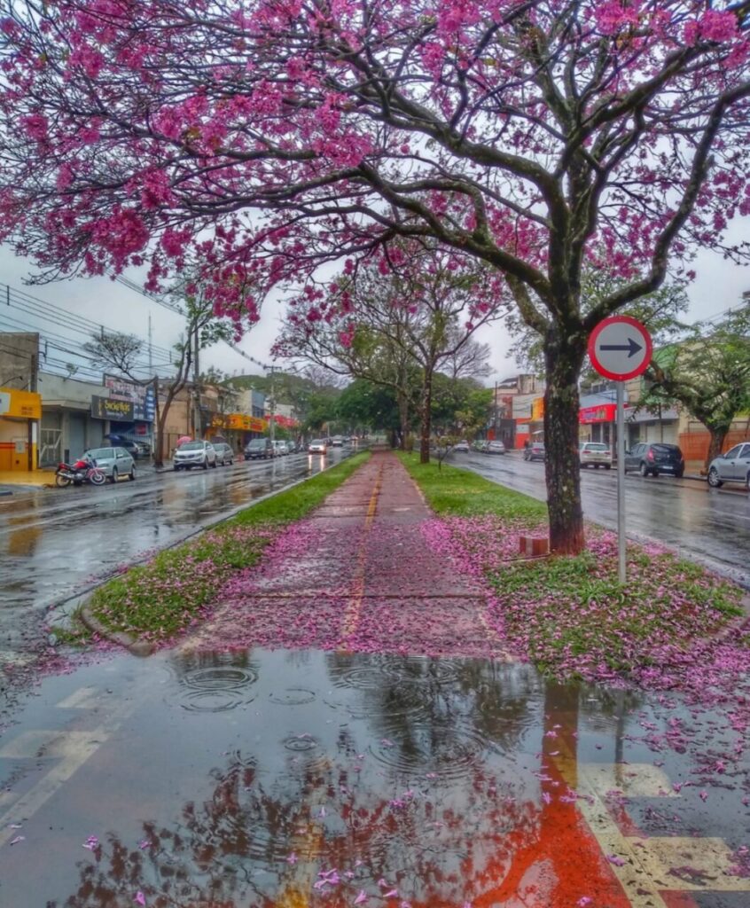 WhatsApp Image 2025-12-14 at 08.04.36