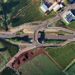 documento_de_ari_dias7