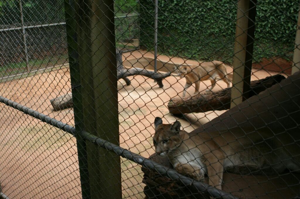 e1384d219e33f21d276fc883efabfc9f